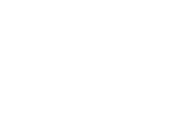 Ellis Plumbing Logo